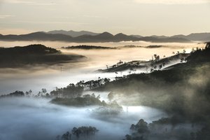 金铁霖婚姻经历