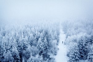 挽回女友暴露需求感