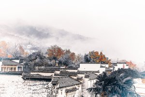 聊城婚姻中介